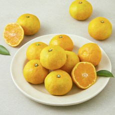 곰곰 고당도 12.5brix 감귤, 800g, 1개