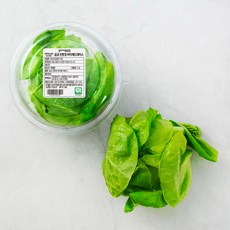 곰곰 친환경 버터헤드레터스, 1개, 1개, 90g