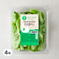 그린래빗 무농약 인증 유러피안 트리플믹스 샐러드, 100g, 4개