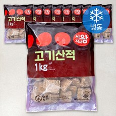 식자재왕 고기산적 (냉동), 1kg, 10개