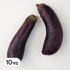 친환경 가지, 2개입, 5개