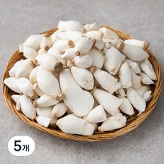 친환경 미니 새송이버섯, 600g, 5개