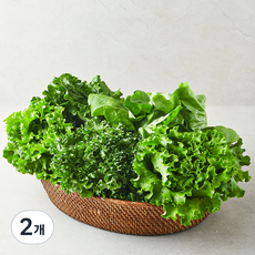 친환경 유러피안 모둠 샐러드용 채소, 2개, 1개입 1kg, 1개입, 2개