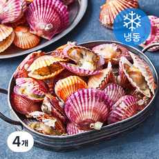 김씨밥 홍가리비 (냉동), 1.2kg, 4개