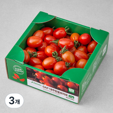 곰곰 GAP 대추방울토마토, 1kg, 3개 1kg, 3개