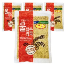MulmalgeunYangpeyong 天雲農協糯豆醬, 4個, 500g