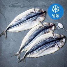 은하수산 노르웨이 간고등어살 250~350g (냉동), 1.5kg(250-350g), 1개