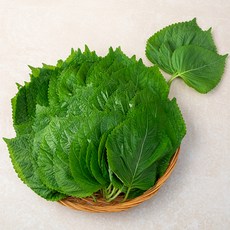 깻잎 국내산, 1kg, 1개 1kg, 1개