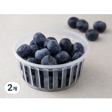 곰곰 GAP 국내산 블루베리 왕특, 100g, 2개