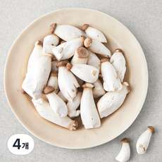 미니 새송이버섯, 300g, 4개