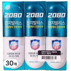 2080 진지발리스 치약 허벌민트향, 120g, 30개