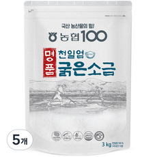 명품천일염 굵은소금