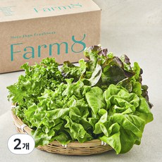 팜에이트 무농약 인증 유러피안 샐러드 꾸러미, 450g, 1개입, 2개