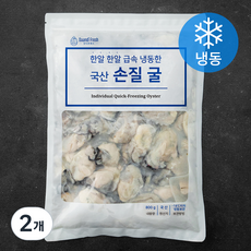 단디프레시 한알한알 급속 냉동한 국산 손질 굴 (냉동), 800g, 2개