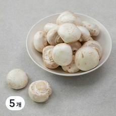 국내산 구이용 양송이버섯, 300g, 5개