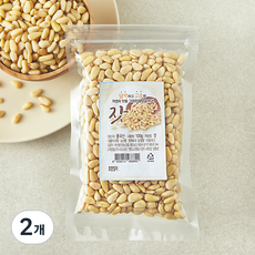 아산율림영농조합 중국산 잣, 2개, 100g 2개, 100g