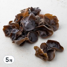 국내산 무농약 생목이버섯, 320g, 5개