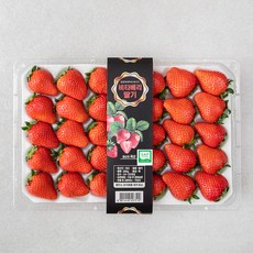 농협 논산 GAP 인증 비타베리 딸기, 800g(24~30과 내외), 1팩