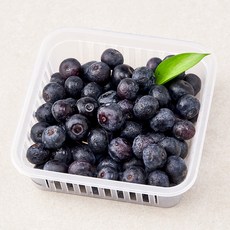 딜리조이 친환경 제주 블루베리, 200g, 1팩