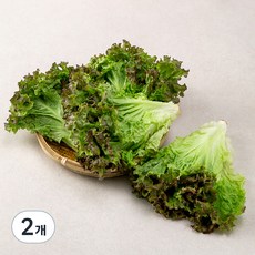 국내산 포기상추, 1kg, 2개 1kg, 2봉