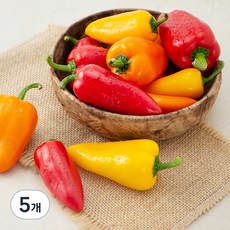 국내산 미니 파프리카, 300g, 5개