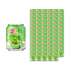 홈이있는현미경슬라이드