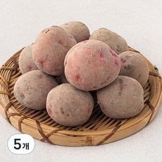 곰곰 국내산 홍감자, 1kg, 5개 1kg, 5봉