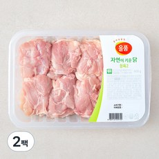 올품 무항생제 인증 자연이키운닭 다리살 (냉장), 600g, 2팩 600g × 2팩 섬네일