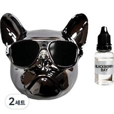 스페이스엠 엠퓨처 차량용 불독 방향제 스페이스그레이 + 오일 15ml + 클립 3cm + 오일솜 세트 블랙베리베이 2세트