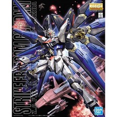 GUNDAM 鋼彈 模型 MG 1/100比例, 1個