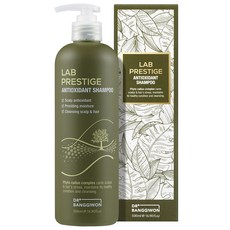 닥터방기원 랩 프레스티지 안티옥시던트 기능성 샴푸, 1개, 500ml