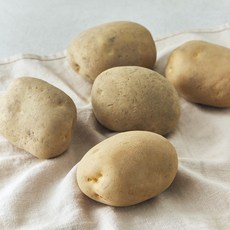 국내산 감자(햇), 1개, 1kg(대) 1개, 1kg