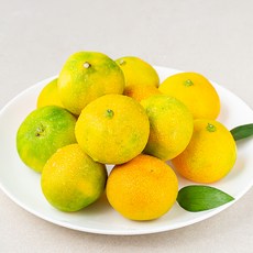 딜리조이 GAP당도선별 감귤 (하우스), 500g, 1개