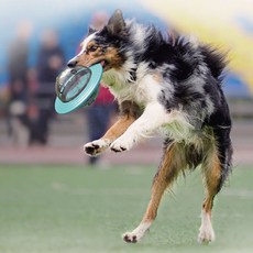 716561282184563-ef8882d9-e1f5-407c-819a-e82d9f0d6f8c.jpg