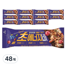 롯데제과 초 에너지바, 40g, 48개