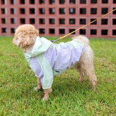 Leto 狗狗防風雨衣, 1個, 薄荷