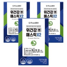 프롬바이오 위건강엔 매스틱X2, 56g, 3개