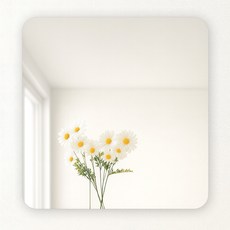 Vitabello黏貼式壓克力鏡子浴室安全鏡, 四邊形