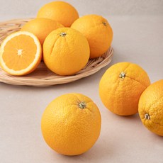 곰곰 칠레산 오렌지, 1.5kg, 1봉