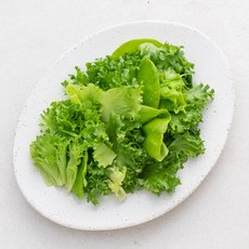 친환경 인증 국내산 유러피안 소프트 샐러드, 300g, 1팩
