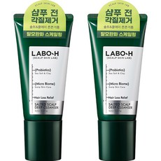 라보에이치 솔티드 두피 딥클렌저, 2개, 120ml