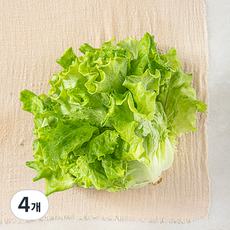 국내산 카이피라, 200g, 4개 4개, 200g