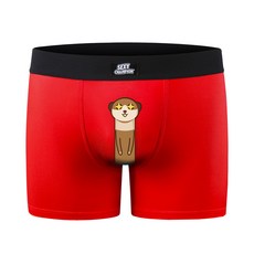 섹시챔피언 MEERKAT 드로즈 팬티