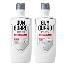 검가드 오리지널 구강청결제, 750ml, 2개