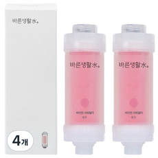 바른생활수 비타민 샤워필터, 4개, 로즈