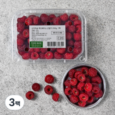산지직송 푸드베이스 산딸기, 250g, 3팩
