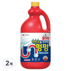 홈스타 막힌 곳을 부탁해 펑펑 배수구세정제, 2L, 2개