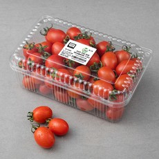 ONLYFARM GAP 인증 전남 담양 대추방울토마토, 1.5kg, 1개