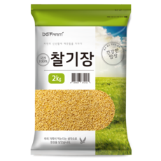 건강한밥상 2023년산 햇곡 국산 찰기장, 2kg, 1개