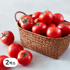 곰곰 스마트팜 주스용 토마토, 5kg, 2박스